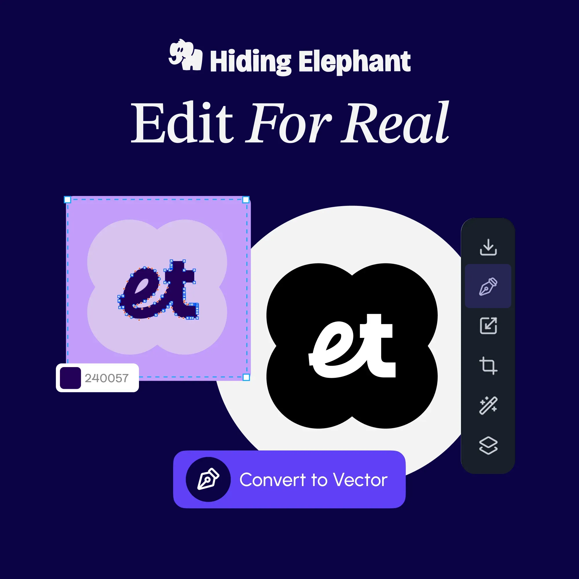 Editing real vector designs on the Hiding Elephant canvas